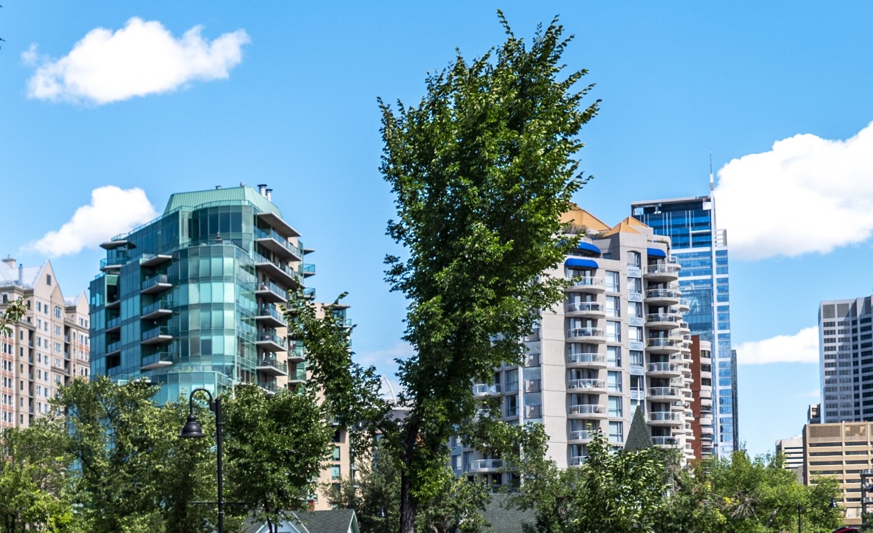 Calgary in the 1990s: Growth, Innovation & Identity